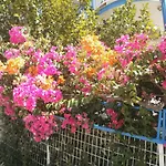 Seaview- 2 Space - Selfcatering - Helen No 3 شقة *