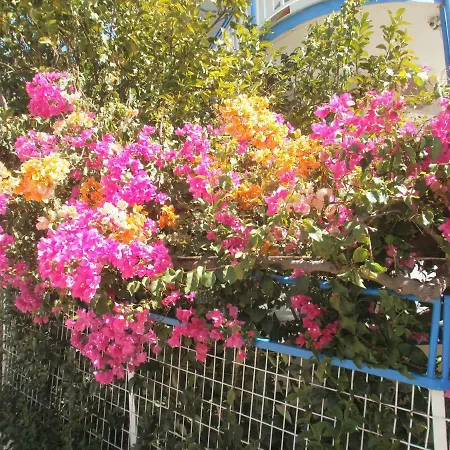 Seaview- 2 Space - Selfcatering - Helen No 3 شقة *